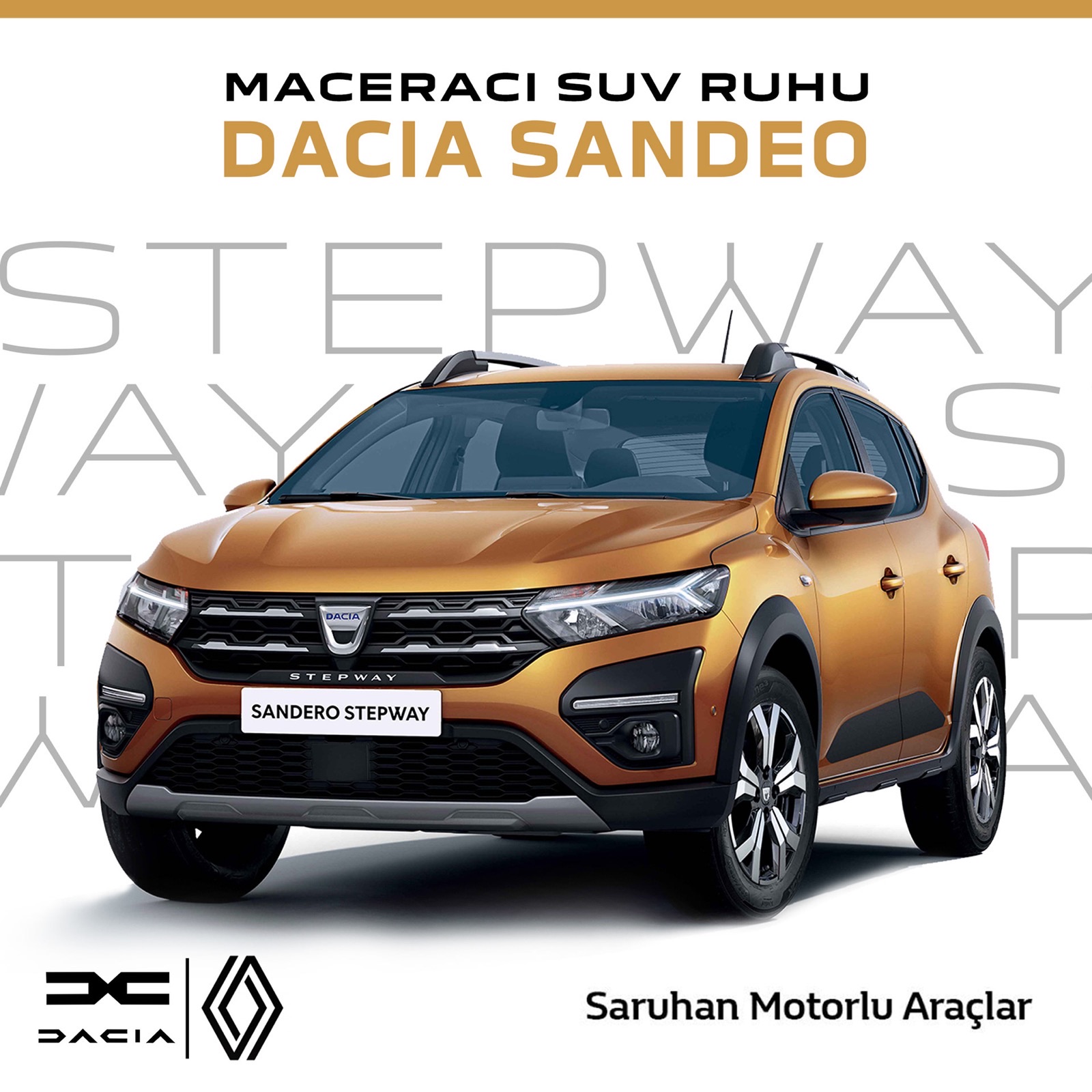 Dacia — изображение 1